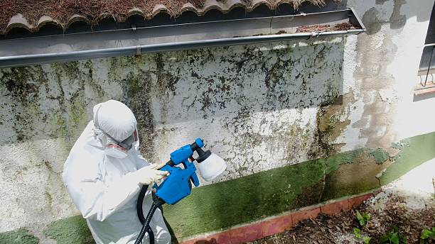 Top rated local Commercial Mold Remediation specialists in Rockville, MN